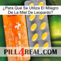 ¿Para Qué Se Utiliza El Milagro De La Miel De Leopardo new05